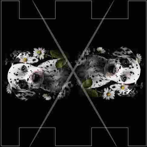 AZDES.jpg