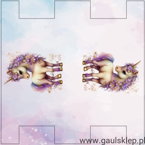 QAER.jpg