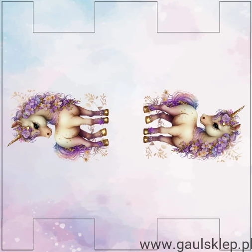 QAER.jpg