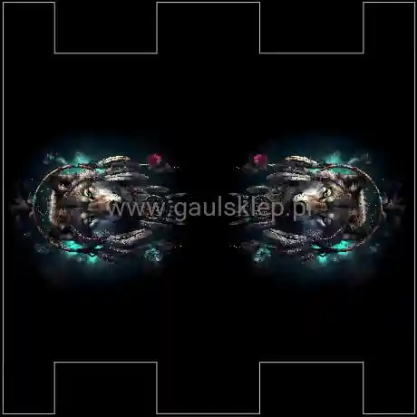 S5.jpg