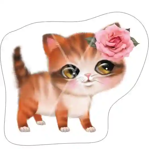 14.jpg