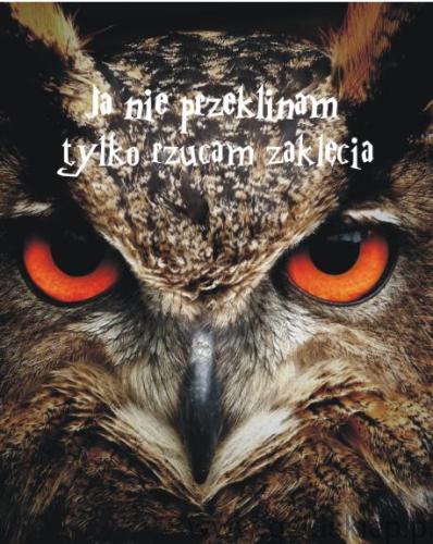 VD.jpg