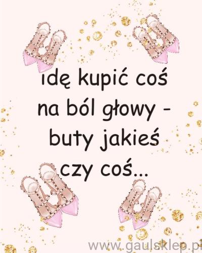 zaa.jpg