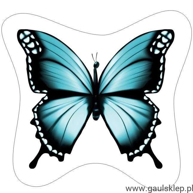 Kopia (2) 22.jpg
