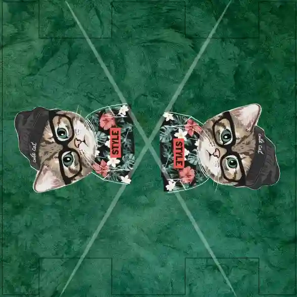 35.jpg