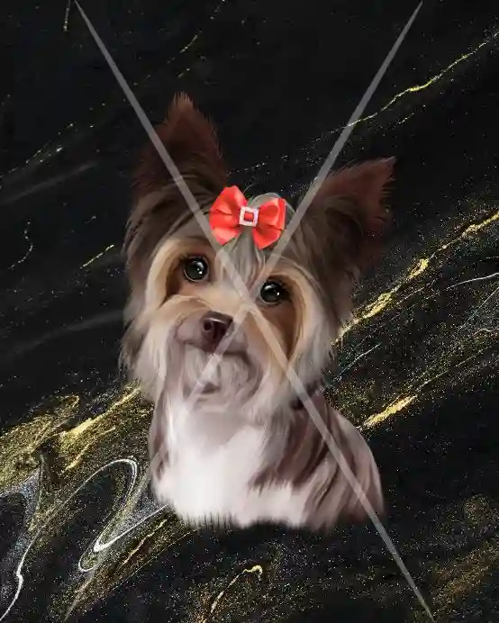 haDsie.jpg