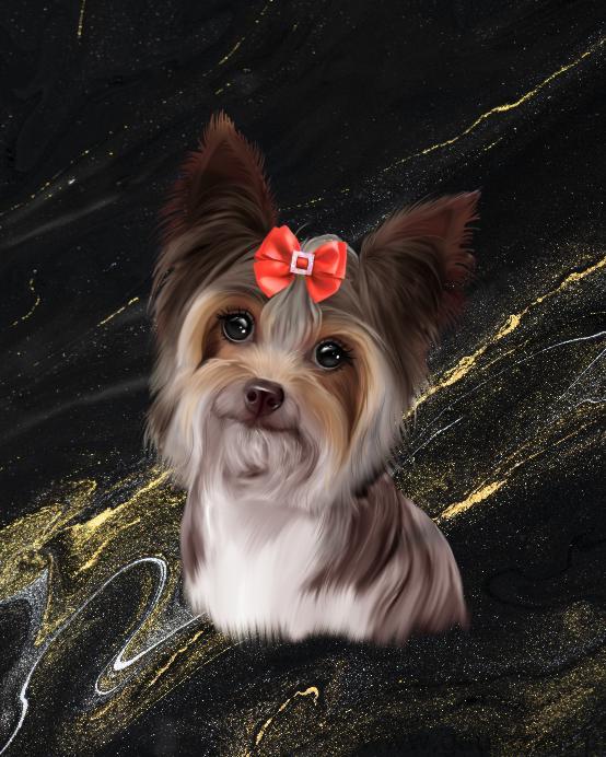 haDsie.jpg
