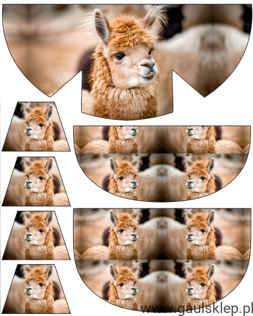 tyu.jpg