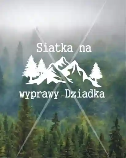 11z.jpg