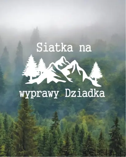 11z.jpg