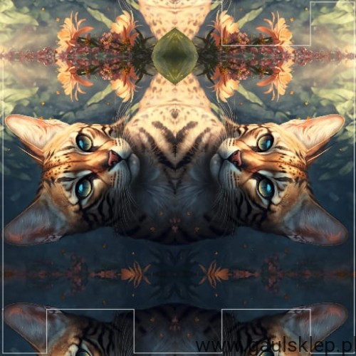 ety.jpg
