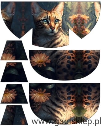 NERKAr4wsFORMAnowaduza.jpg
